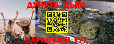 дмт Бердск