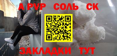 дмт Бердск