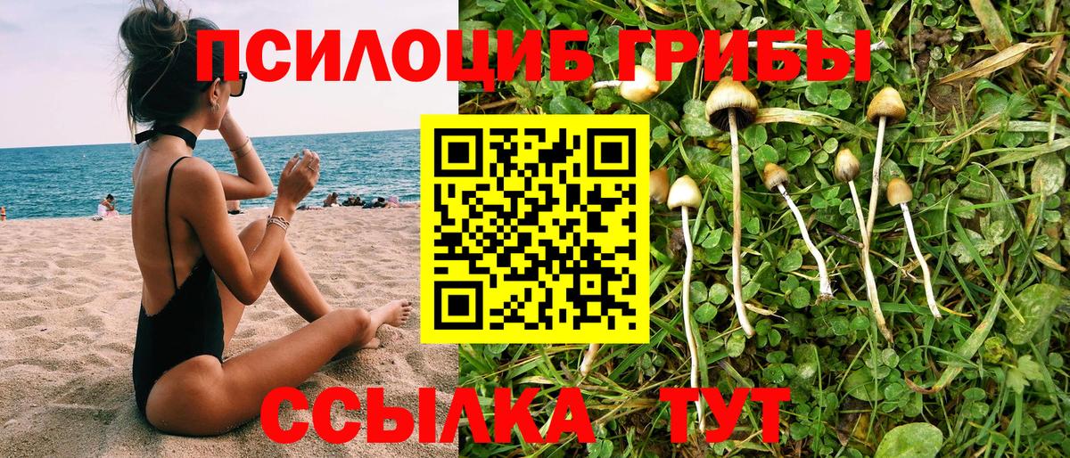 Галлюциногенные грибы MAGIC MUSHROOMS  Вход с VPN  Десногорск 